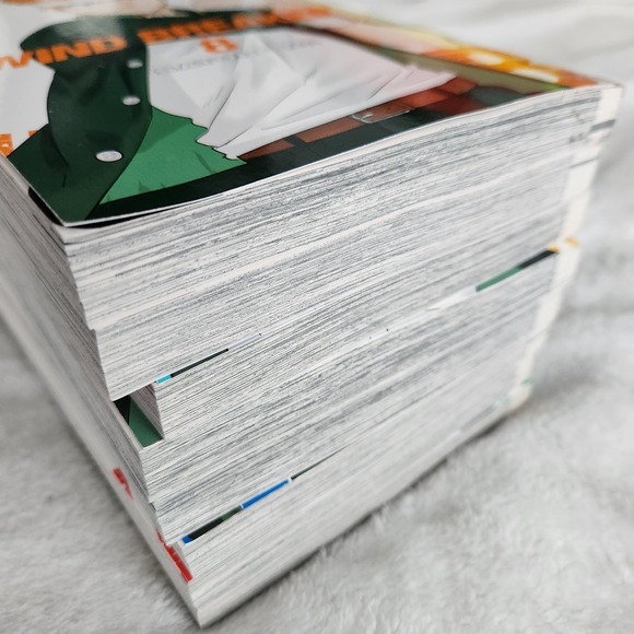 Wind Breaker Vol. 1-8 Manga Set English EXCELLENT CONDITION Paperback Books - Picture 7 of 11